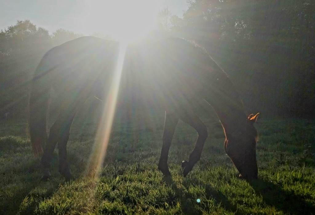 Here comes the&nbsp;sun